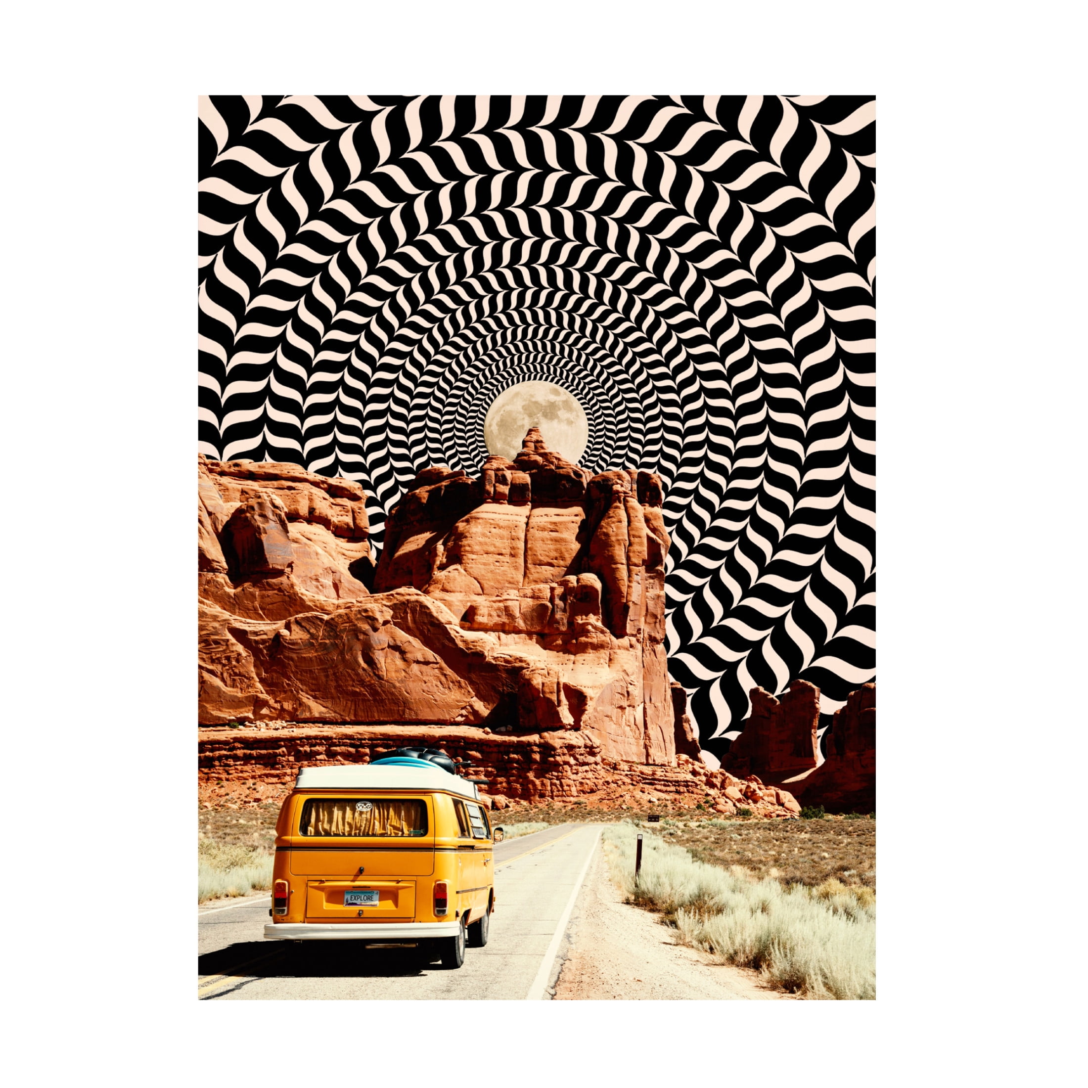 Trademark Fine Art Taudalpoi  The Real Road Trip Canvas Wall Art