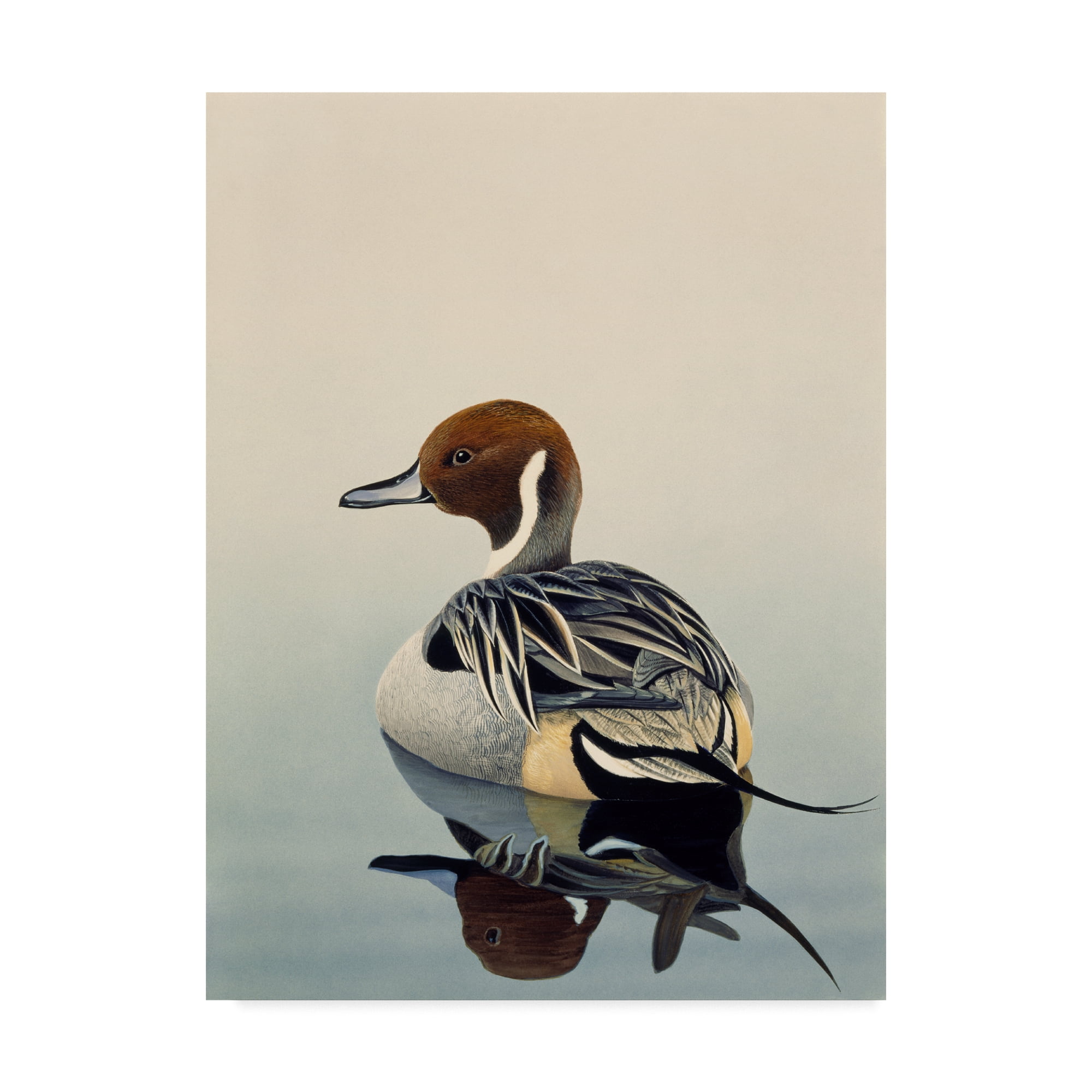 Trademark Fine Art 'Teal' Canvas Art by Harro Maass