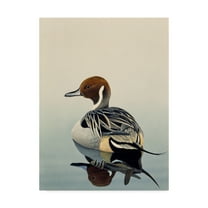 Trademark Fine Art 'Teal' Canvas Art by Harro Maass