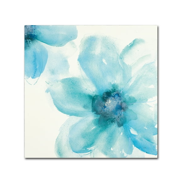 Trademark Fine Art 'Teal Cosmos I' Canvas Art by Chris Paschke