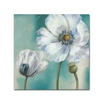 Trademark Fine Art 'Teal Dance III' Canvas Art by Lisa Audit