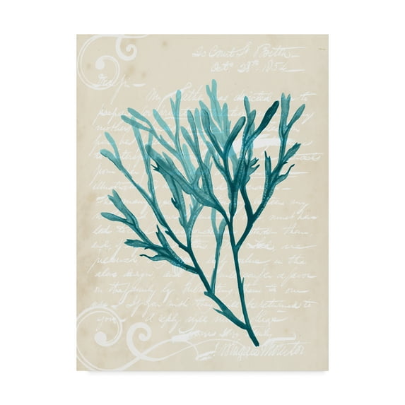 Trademark Fine Art 'Teal Seaweed III' Canvas Art by Grace Popp