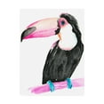 thumbnail image 1 of Trademark Fine Art 'Technicolor Toucan II' Canvas Art by Jennifer Paxton Parker, 1 of 4