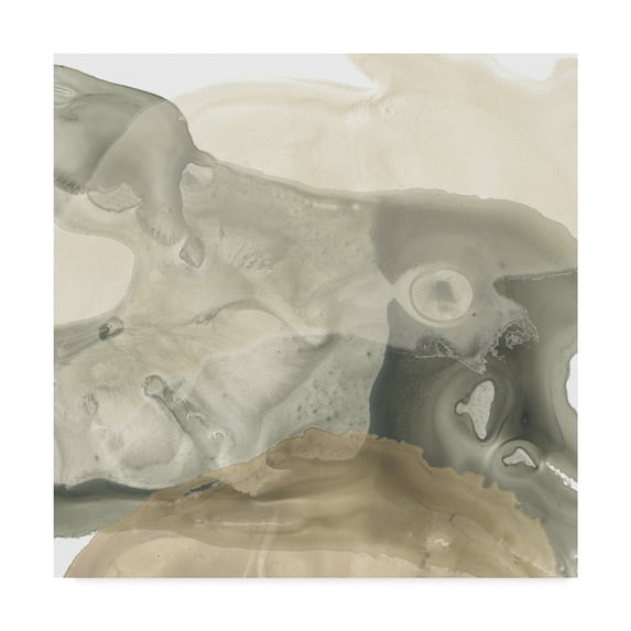 Trademark Fine Art 'Tectonic Drift I' Canvas Art by June Erica Vess