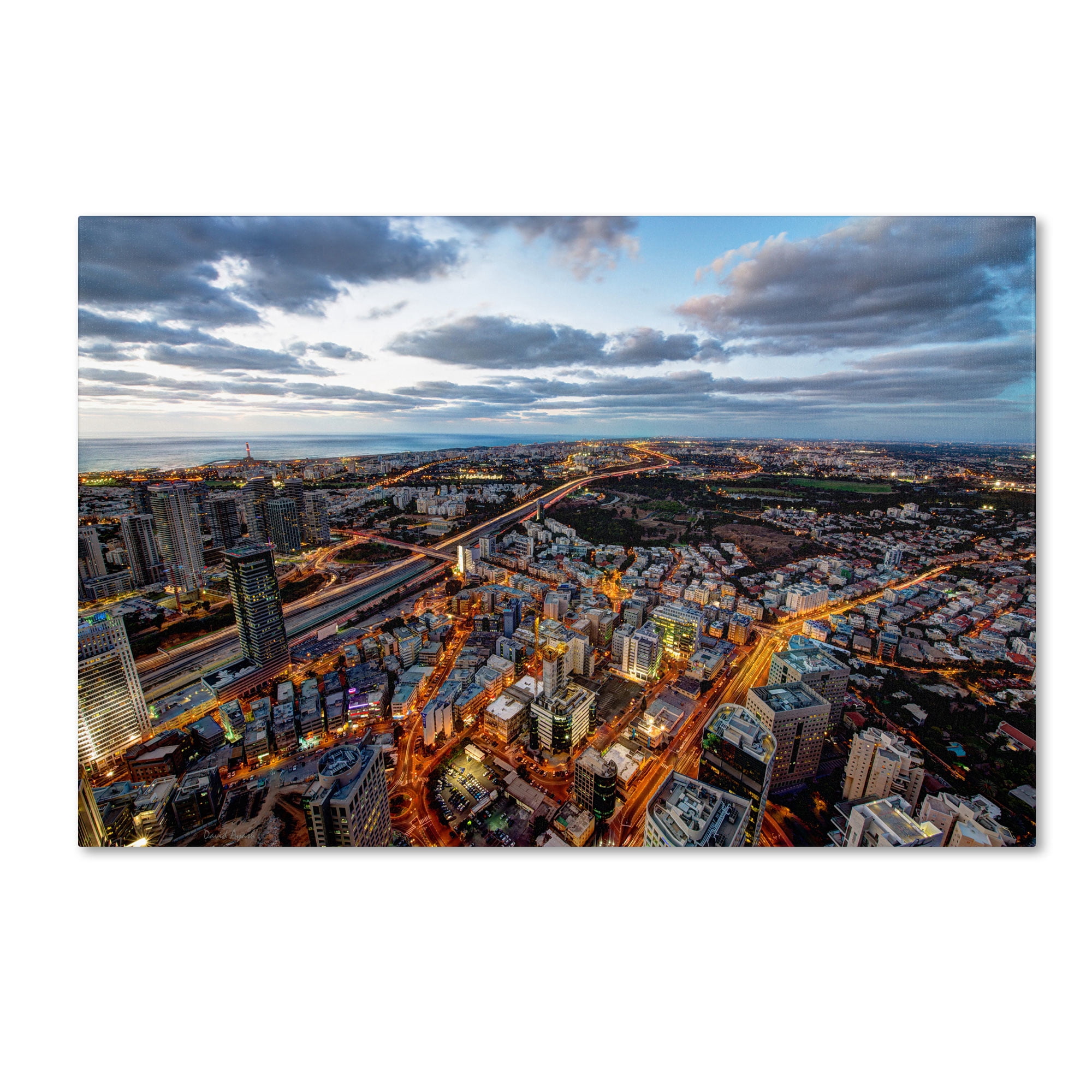 Trademark Fine Art "Tel Aviv - Israel-III" Canvas Art by David Ayash
