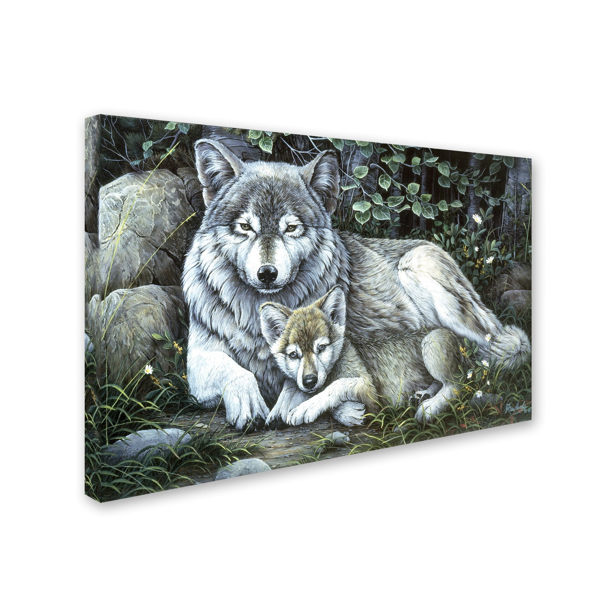 Trademark Fine Art 'Tender Moment' Canvas Art by Jenny Newland
