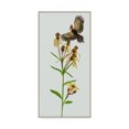 thumbnail image 1 of Trademark Fine Art 'Tephroseris Flammea II' Canvas Art by Melissa Wang, 1 of 4