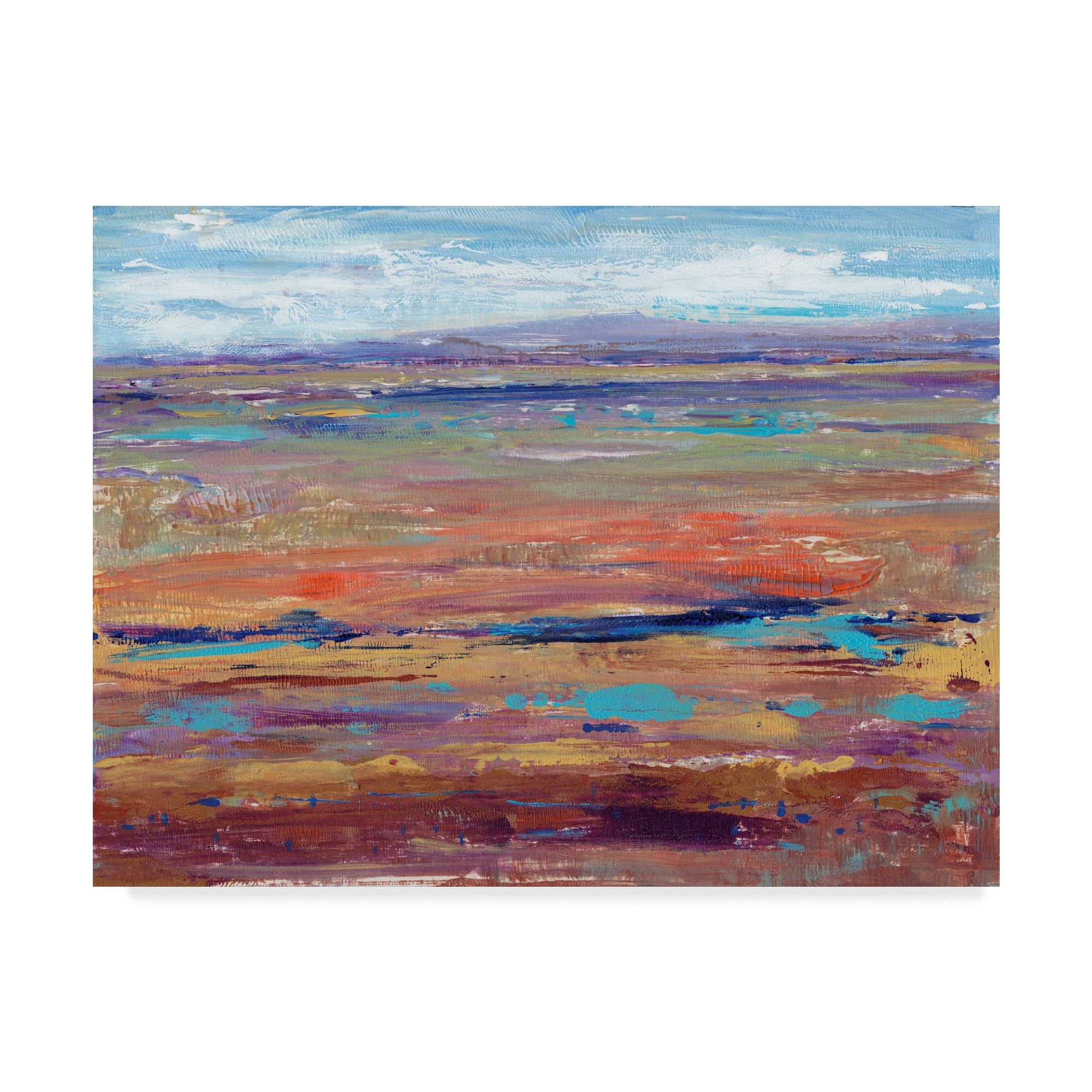 Trademark Fine Art 'Terra Vista IV' Canvas Art by Tim OToole