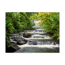 Trademark Fine Art 'Terraced Falls' Canvas Art by Monte Nagler
