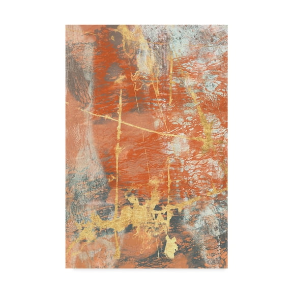 Trademark Fine Art 'Terre Cotta Lace I' Canvas Art by Jennifer Goldberger