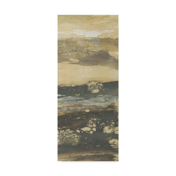 Trademark Fine Art 'Terre Umber III' Canvas Art by Jennifer Goldberger