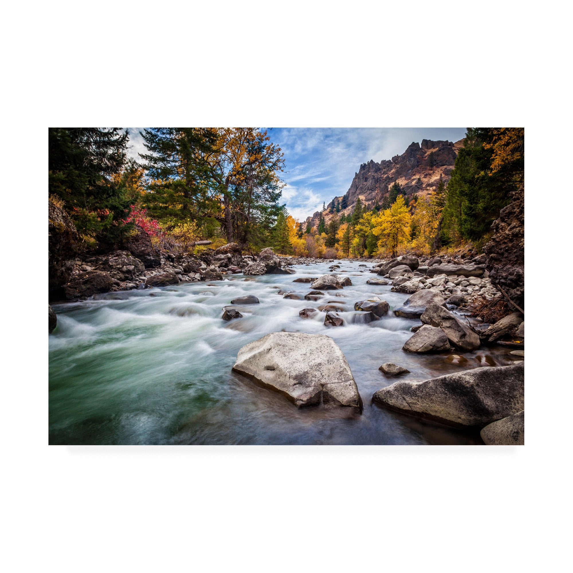 Trademark Fine Art 'Teton River Rush' Canvas Art by Michael Broo