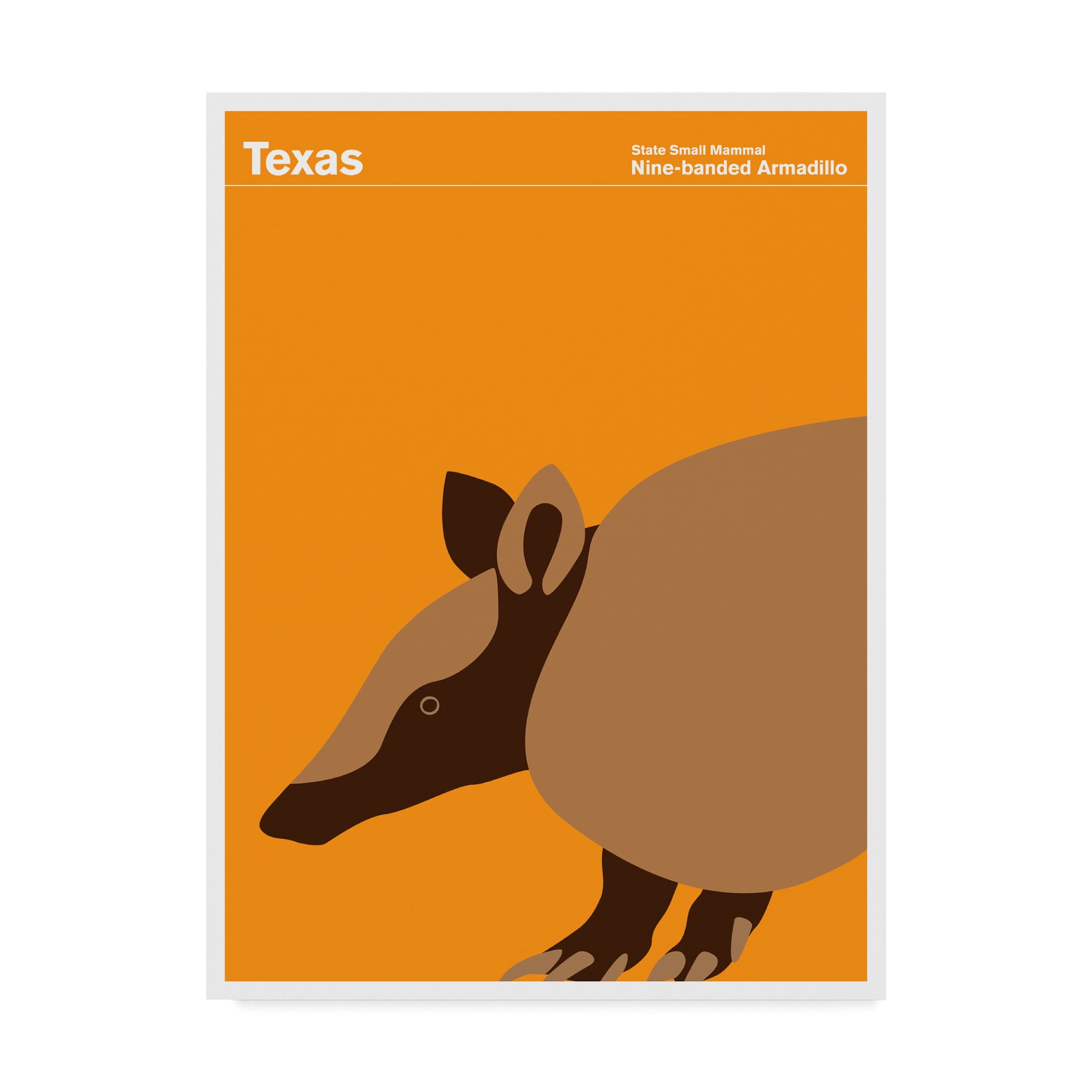 Trademark Fine Art 'Texas Armadillo' Canvas Art by Print Collection - Artist