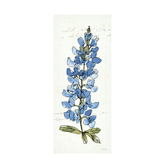 Trademark Fine Art Anne Tavoletti Texas Bluebonnet Iii Canvas Wall Art - 10x24