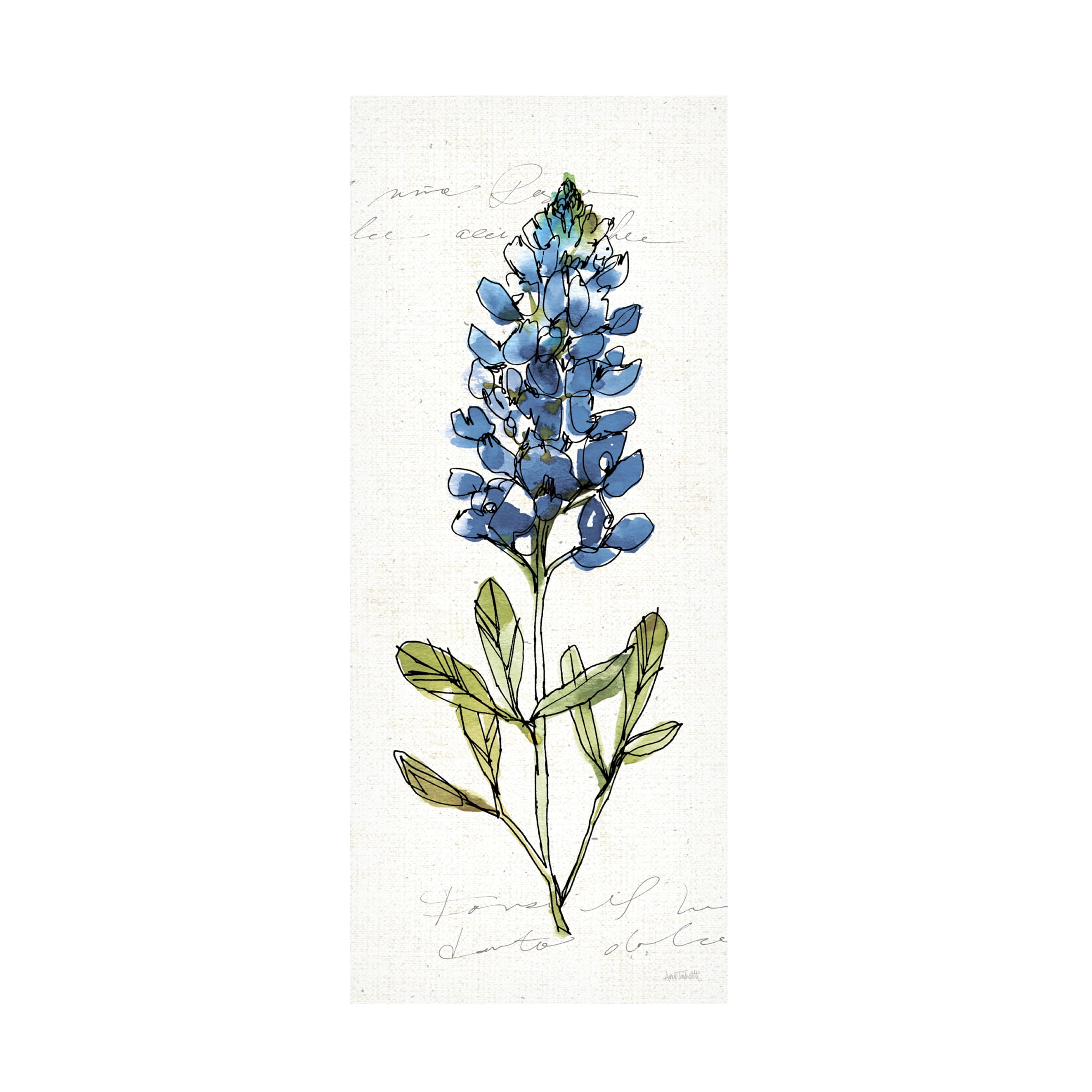 Trademark Fine Art 'Texas Bluebonnet IV' Canvas Art by Anne Tavoletti