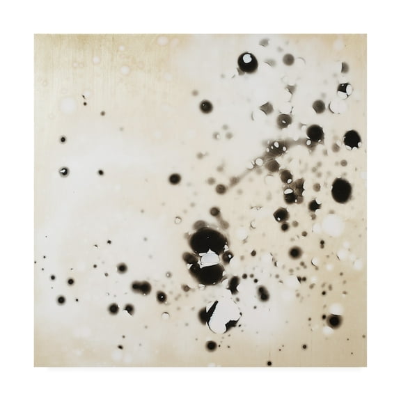 Trademark Fine Art 'Texas River IV' Canvas Art by Erin McGee Ferrell