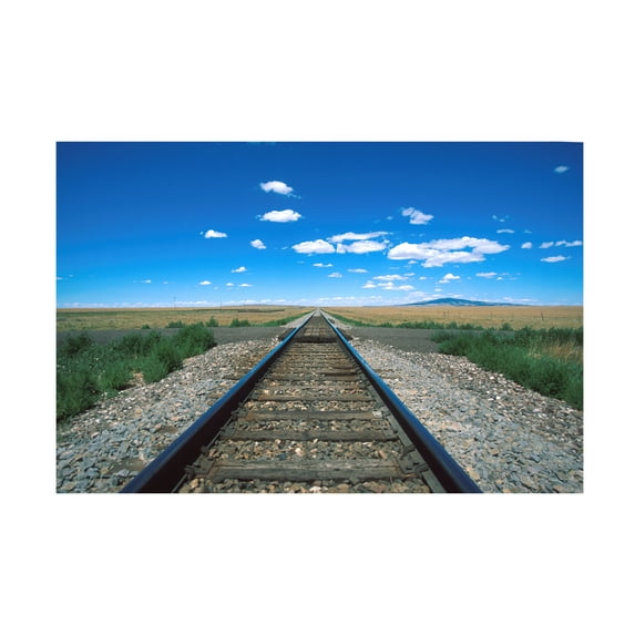 Trademark Fine Art 'Texas Tracks 2' Canvas Art by Robert K Jones