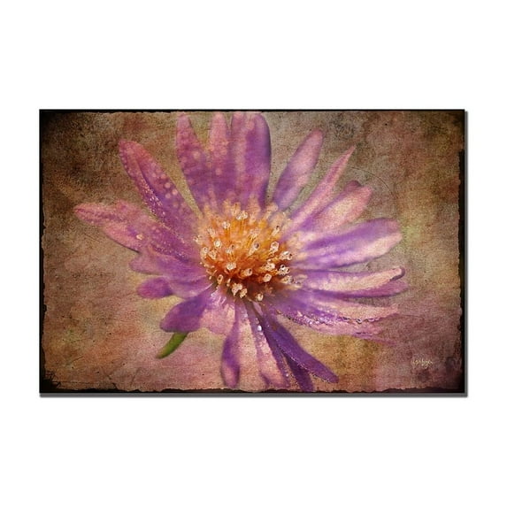 Trademark Fine Art "Textured Aster" Canvas Art by Lois Bryan