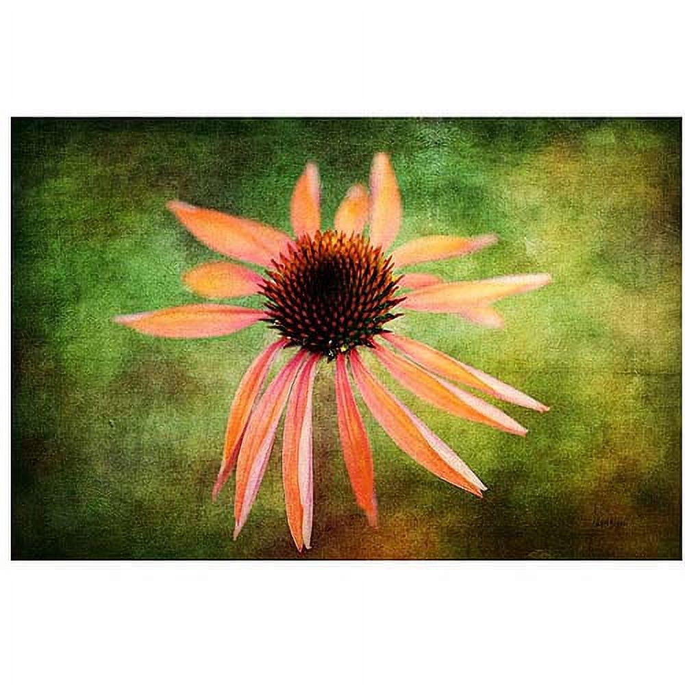 Trademark Fine Art "Textured Golden Coneflower" Canvas Art by Lois Bryan