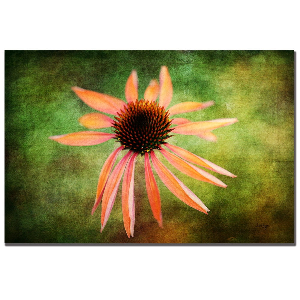 Trademark Fine Art "Textured Golden Coneflower" Canvas Art by Lois Bryan