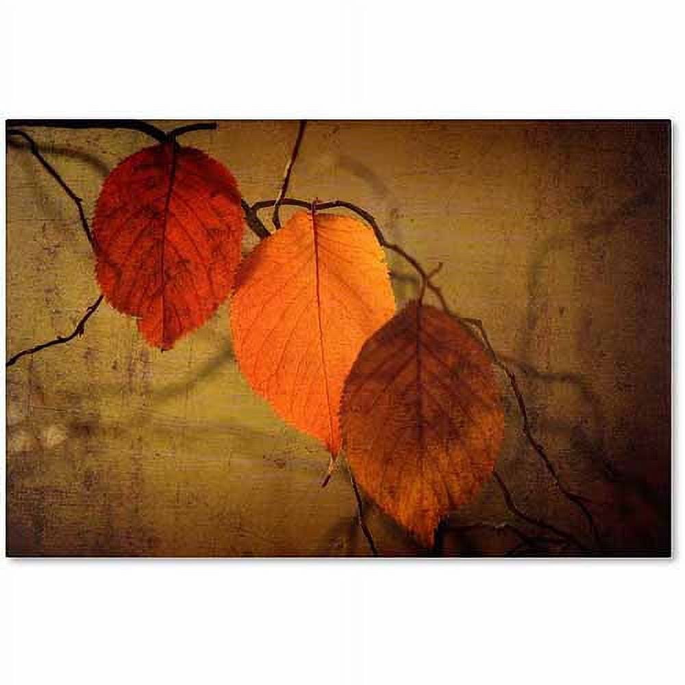 Autumn Leaves Textured Canvas Art by Philippe Sainte-Laudy