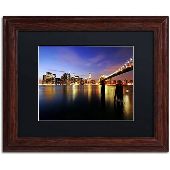 Trademark Fine Art "That's the Way it is" Canvas Art by CATeyes, Black Matte, Wood Frame