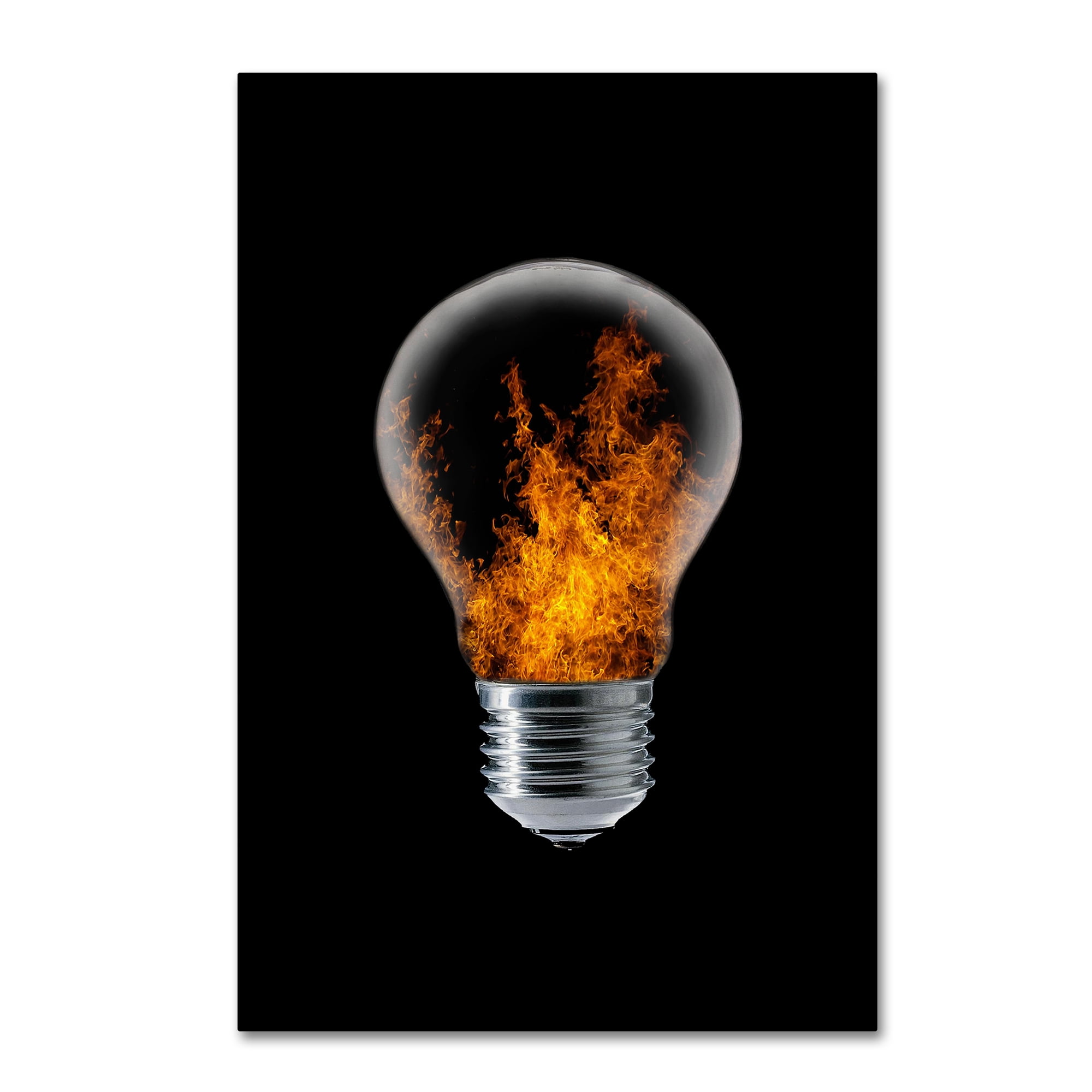 Stefan Eisele Framed Canvas Art with Light Bulb and Fire