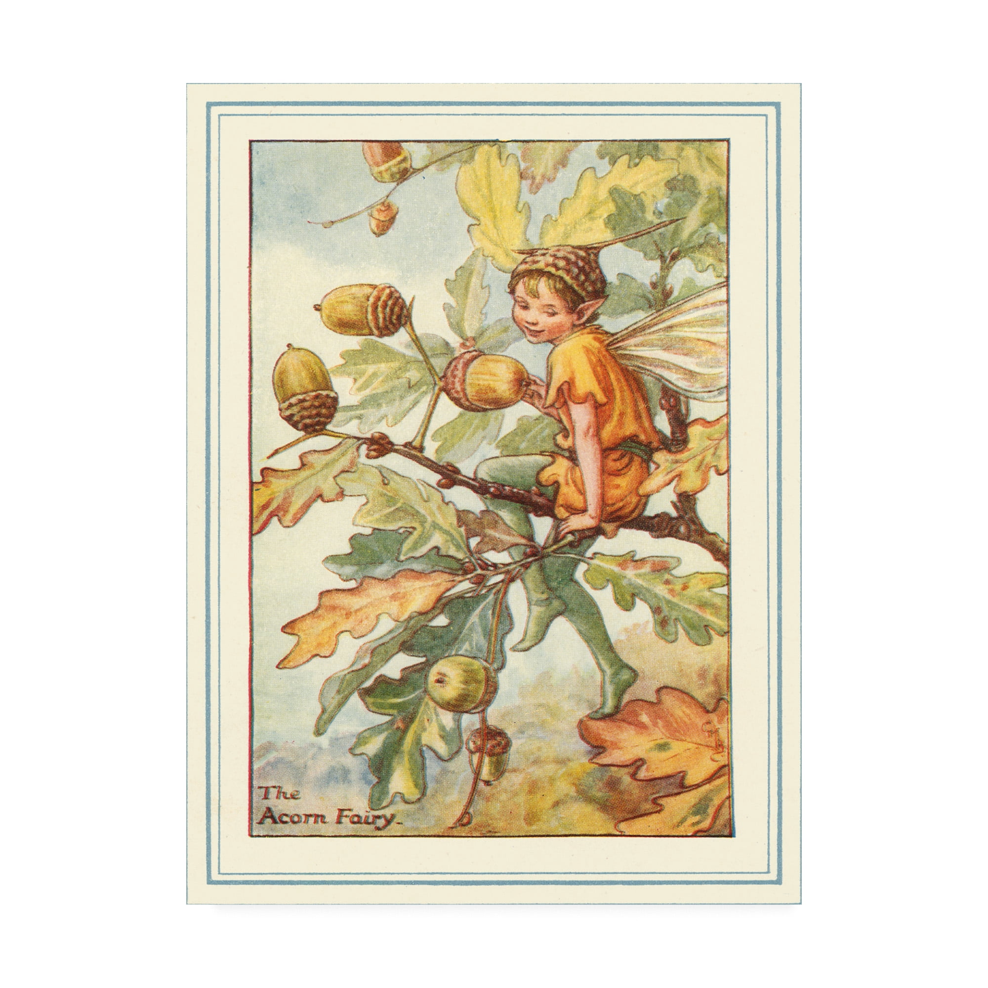 Trademark Fine Art 'The Acorn Fairy' Canvas Art by Vision Studio