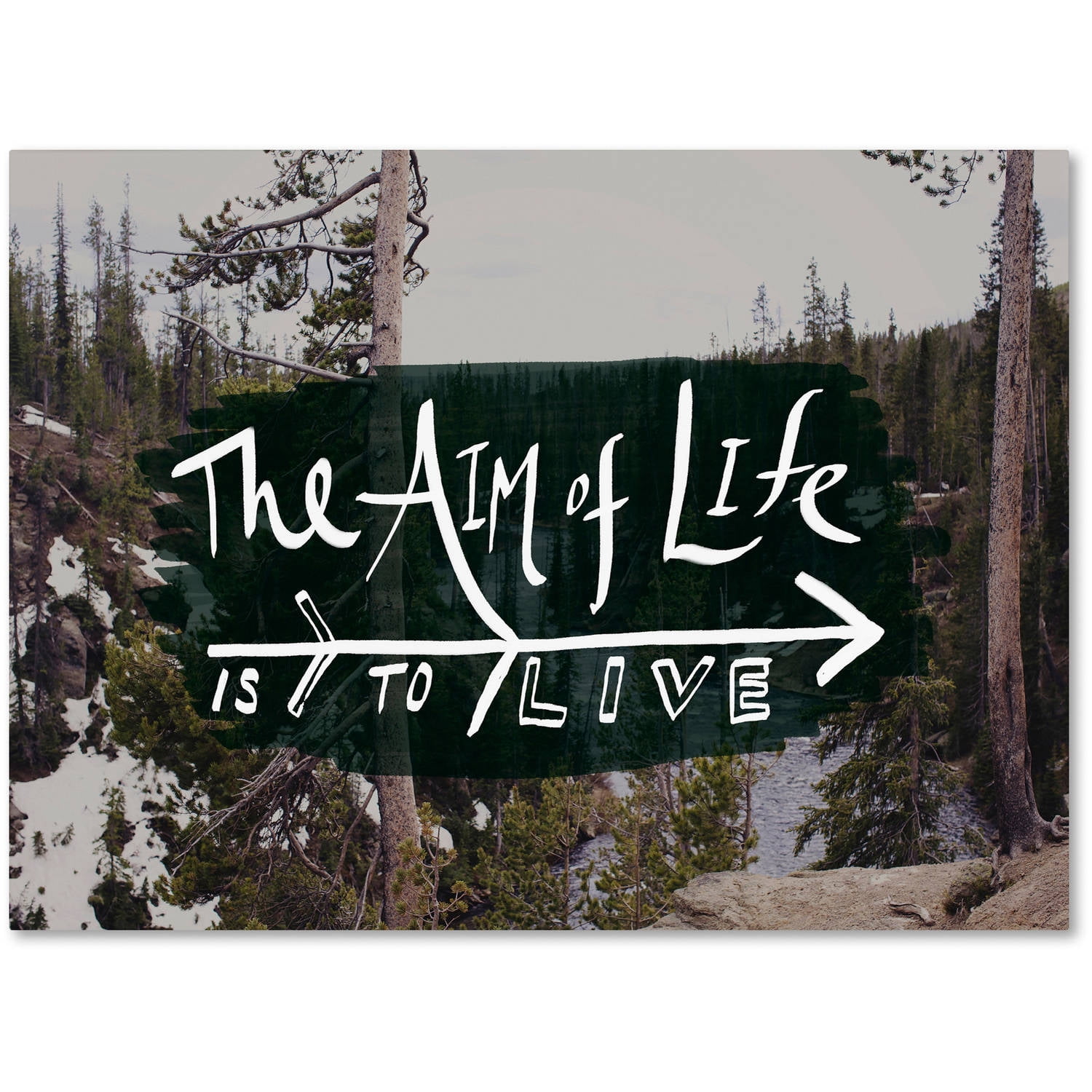 Trademark Fine Art "The Aim of Life" Canvas Art by Leah Flores