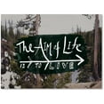 thumbnail image 1 of Trademark Fine Art "The Aim of Life" Canvas Art by Leah Flores, 1 of 3