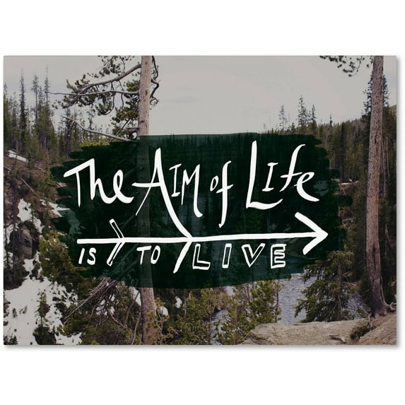 Trademark Fine Art "The Aim of Life" Canvas Art by Leah Flores