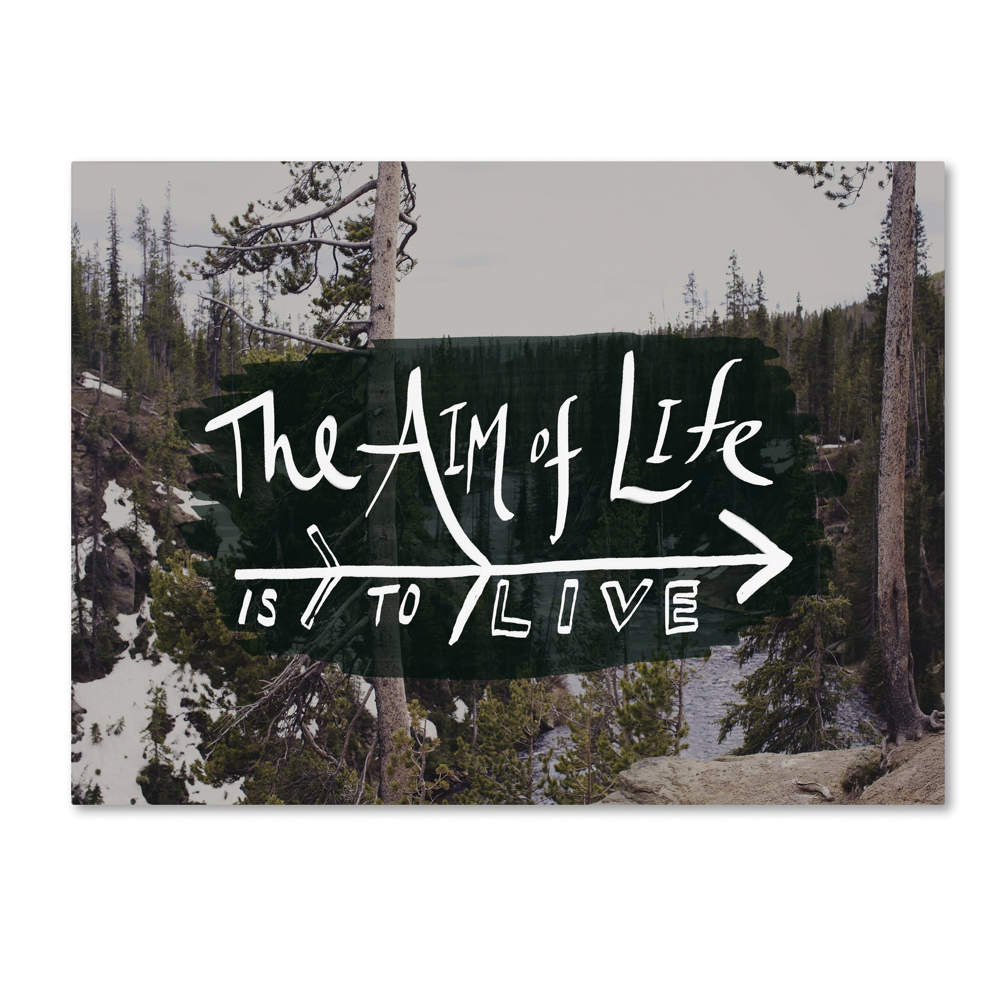 Trademark Fine Art "The Aim of Life" Canvas Art by Leah Flores