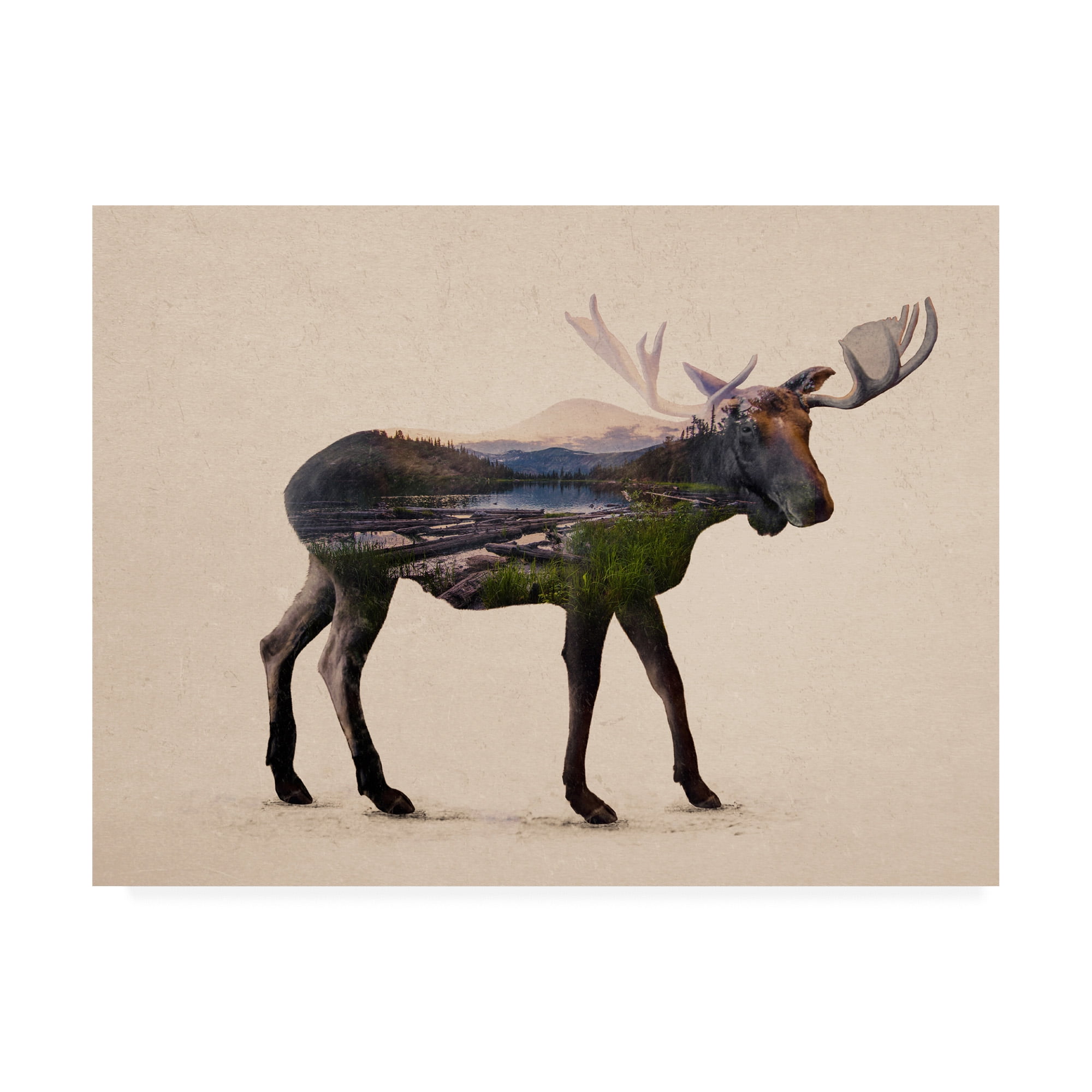 Trademark Fine Art 'The Alaskan Bull Moose' Canvas Art by Davies Babies