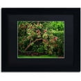thumbnail image 1 of Trademark Fine Art "The Apple Tree" Canvas Art by Philippe Sainte-Laudy, Black Matte, Black Frame, 1 of 4