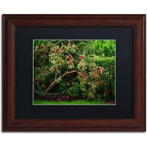 Trademark Fine Art "The Apple Tree" Canvas Art by Philippe Sainte-Laudy, Black Matte, Wood Frame