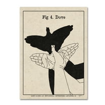 Trademark Fine Art 'The Art of Shadows IV' Canvas Art by Mary Urban