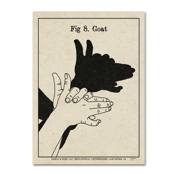 Trademark Fine Art 'The Art of Shadows VIII' Canvas Art by Mary Urban