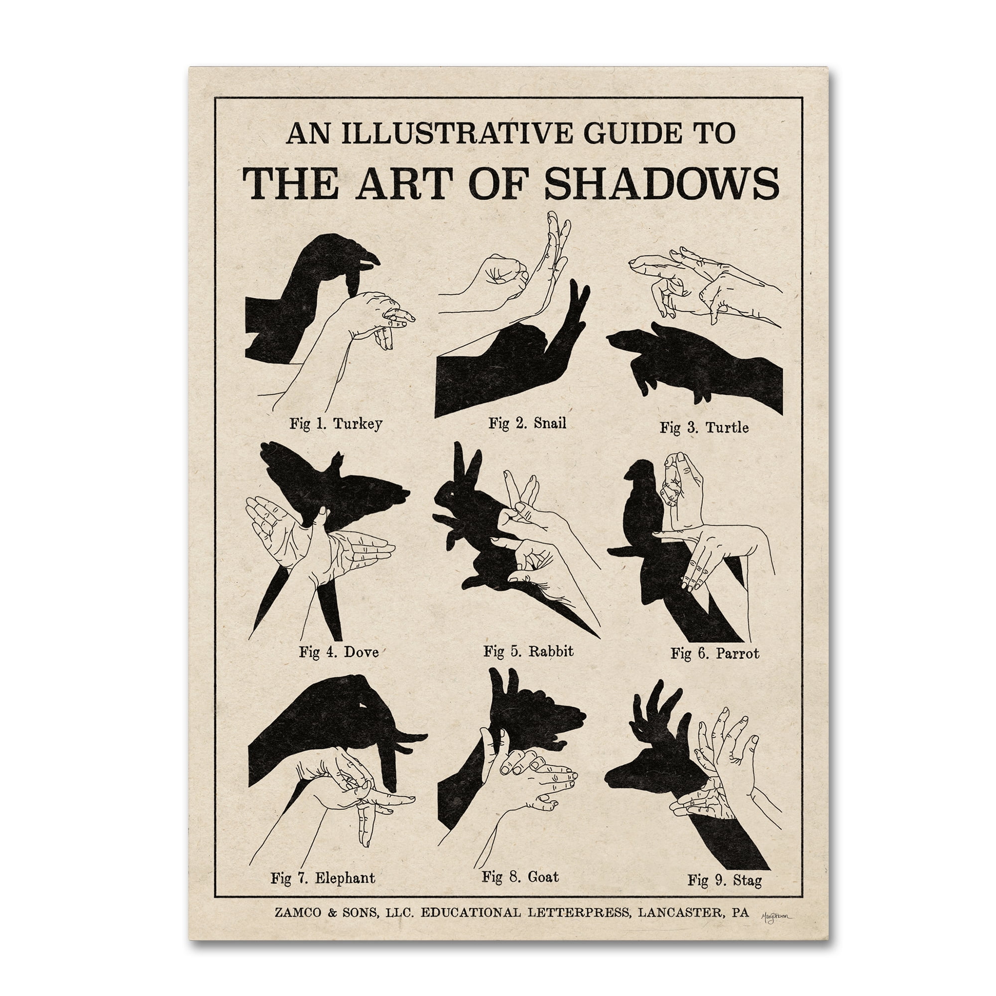 Trademark Fine Art 'The Art of Shadows X' Canvas Art by Mary Urban