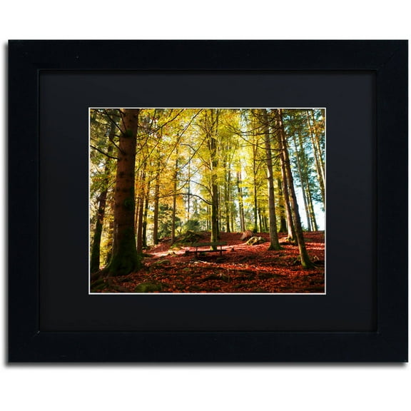Trademark Fine Art "The Autumn Bench" Canvas Art by Philippe Sainte-Laudy Black Matte, Black Frame