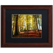 Trademark Fine Art "The Autumn Bench" Canvas Art by Philippe Sainte-Laudy Black Matte, Wood Frame