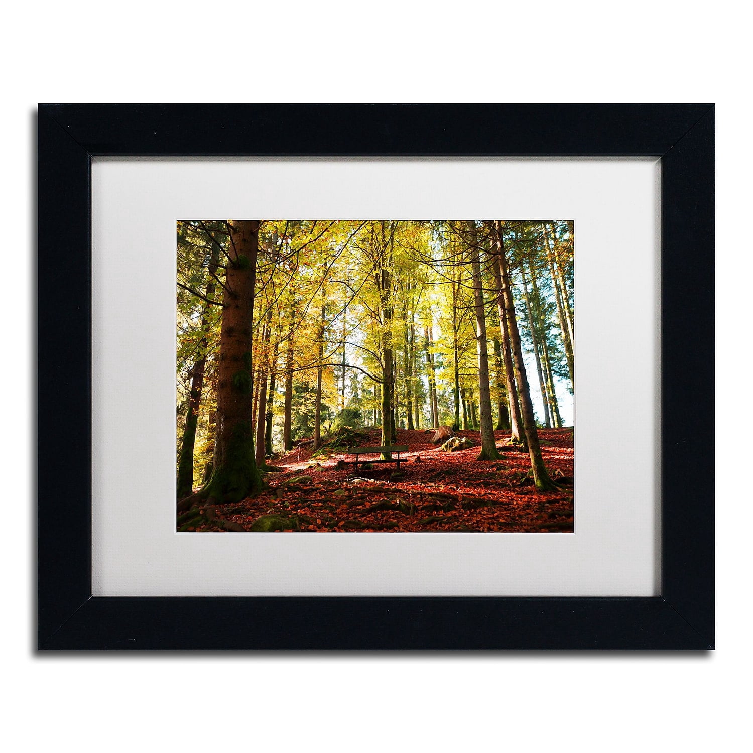 Trademark Fine Art "The Autumn Bench" Canvas Art by Philippe Sainte-Laudy White Matte, Black Frame