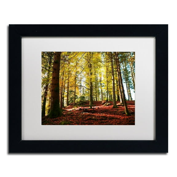 Trademark Fine Art "The Autumn Bench" Canvas Art by Philippe Sainte-Laudy White Matte, Black Frame