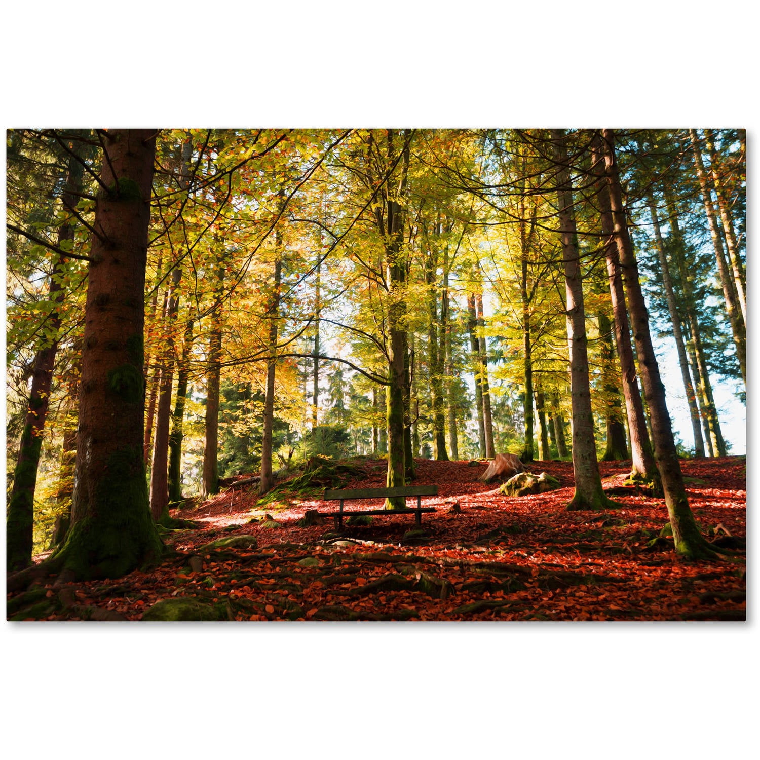 Trademark Fine Art "The Autumn Bench" Canvas Art by Philippe Sainte-Laudy