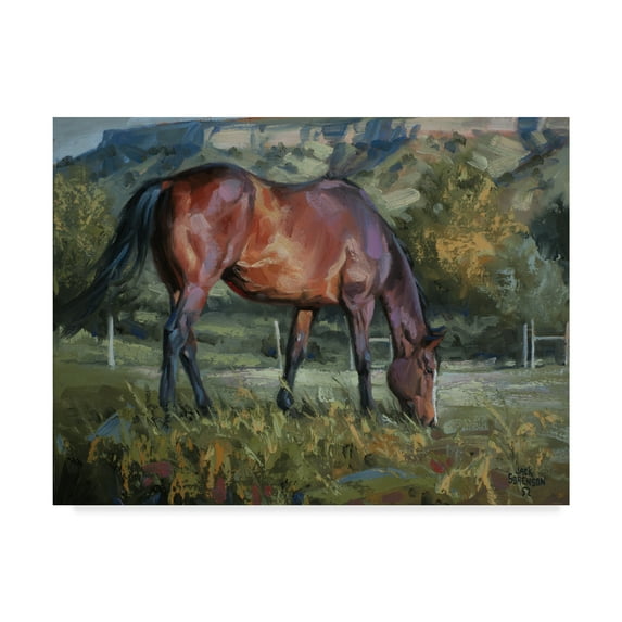 Trademark Fine Art 'The Bay' Canvas Art by Jack Sorenson