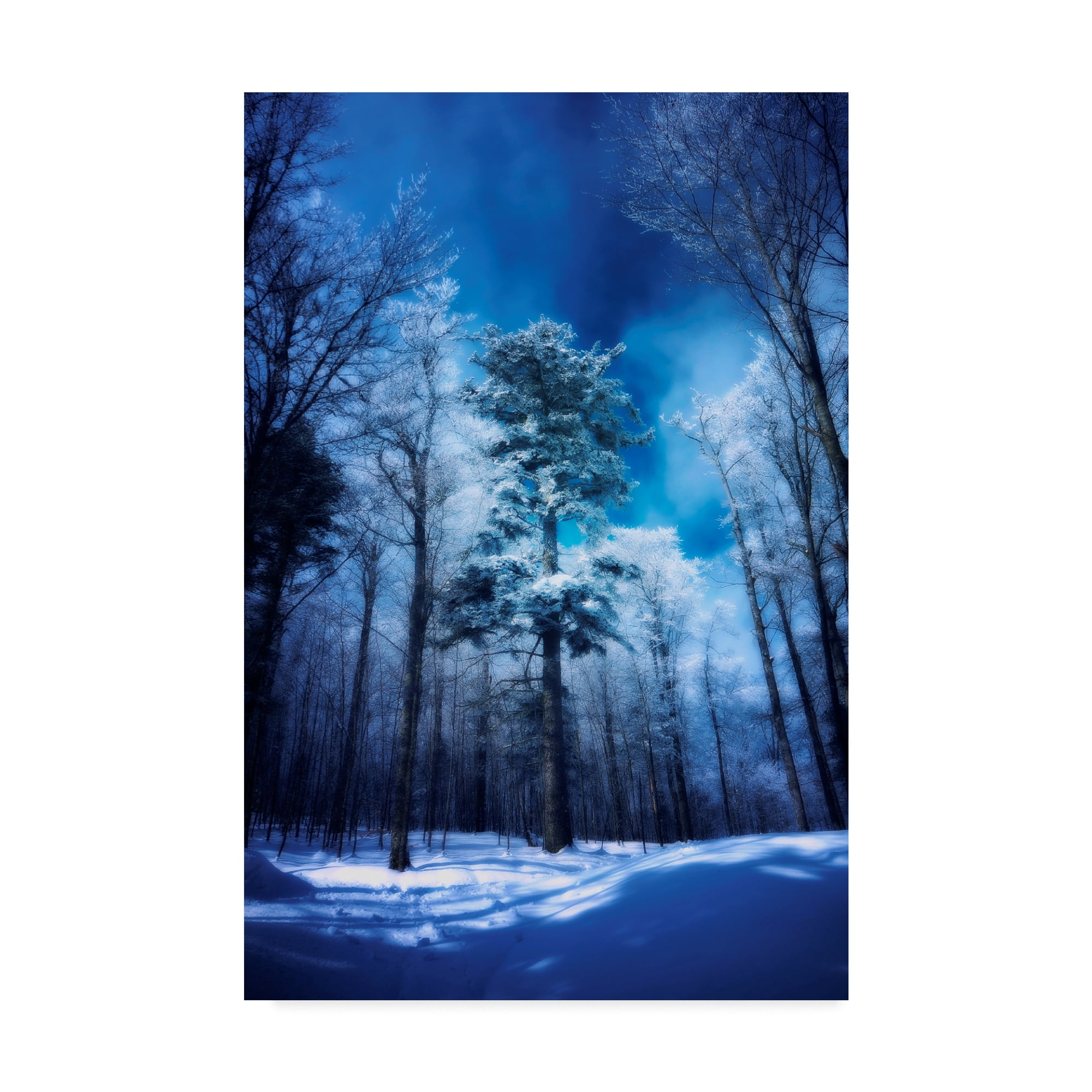 Trademark Fine Art 'The Blue Hours' Canvas Art by Philippe Sainte-Laudy