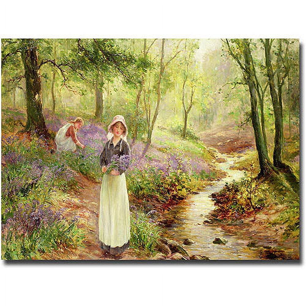 Trademark Fine Art "The Bluebell Glade" Canvas Wall Art by Ernest Walbourn
