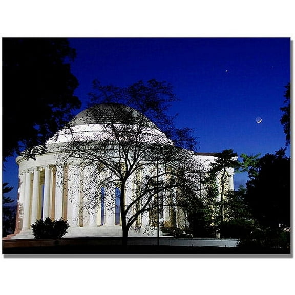 Trademark Fine Art "The Bold" Canvas Wall Art by MCat