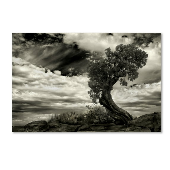 Trademark Fine Art 'The Boss' Canvas Art by Jerome Zakka Bajjani