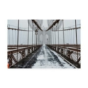 Trademark Fine Art 'The Brooklyn Bridge' Canvas Art by Bruce Gett