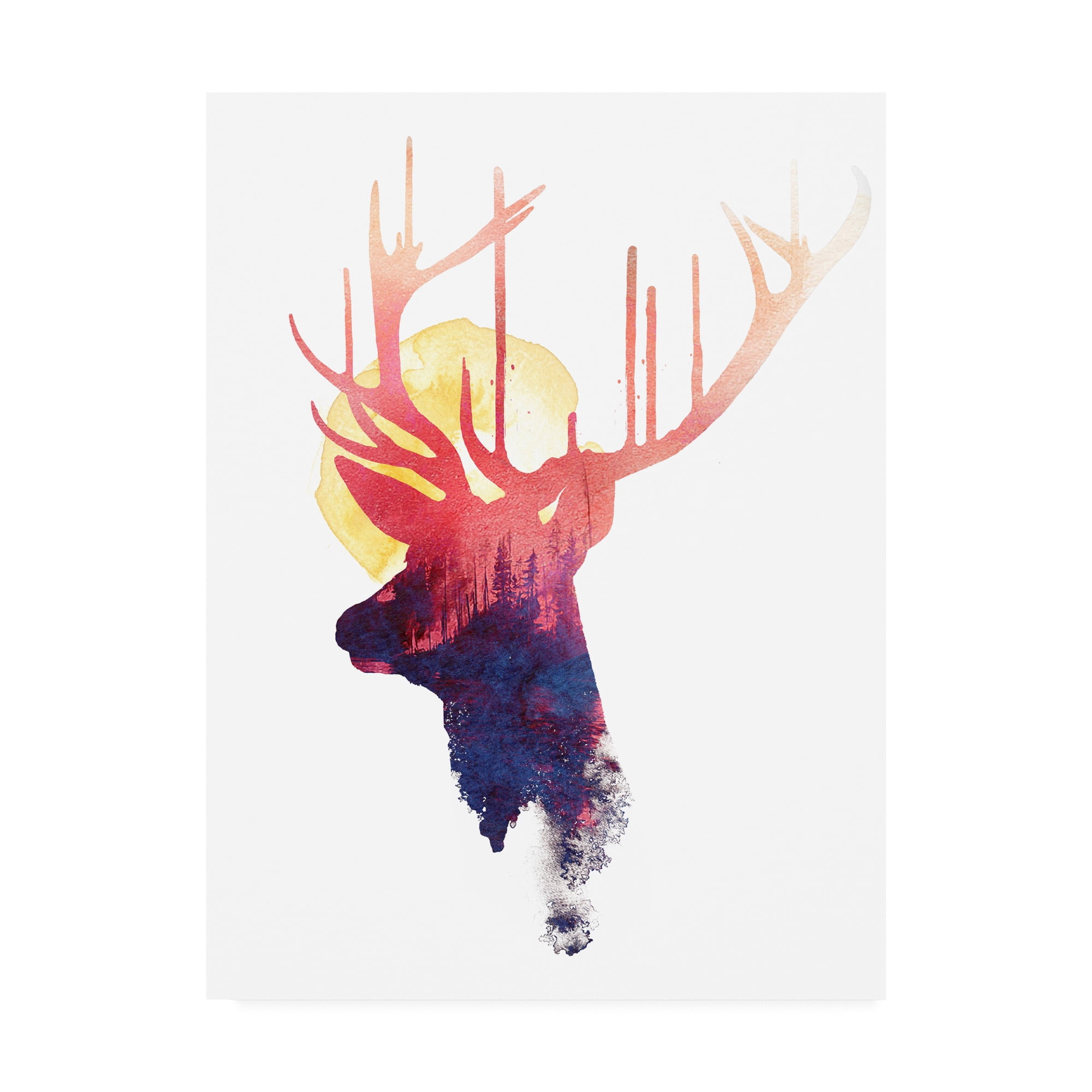 Trademark Fine Art 'The Burning Sun' Canvas Art by Robert Farka